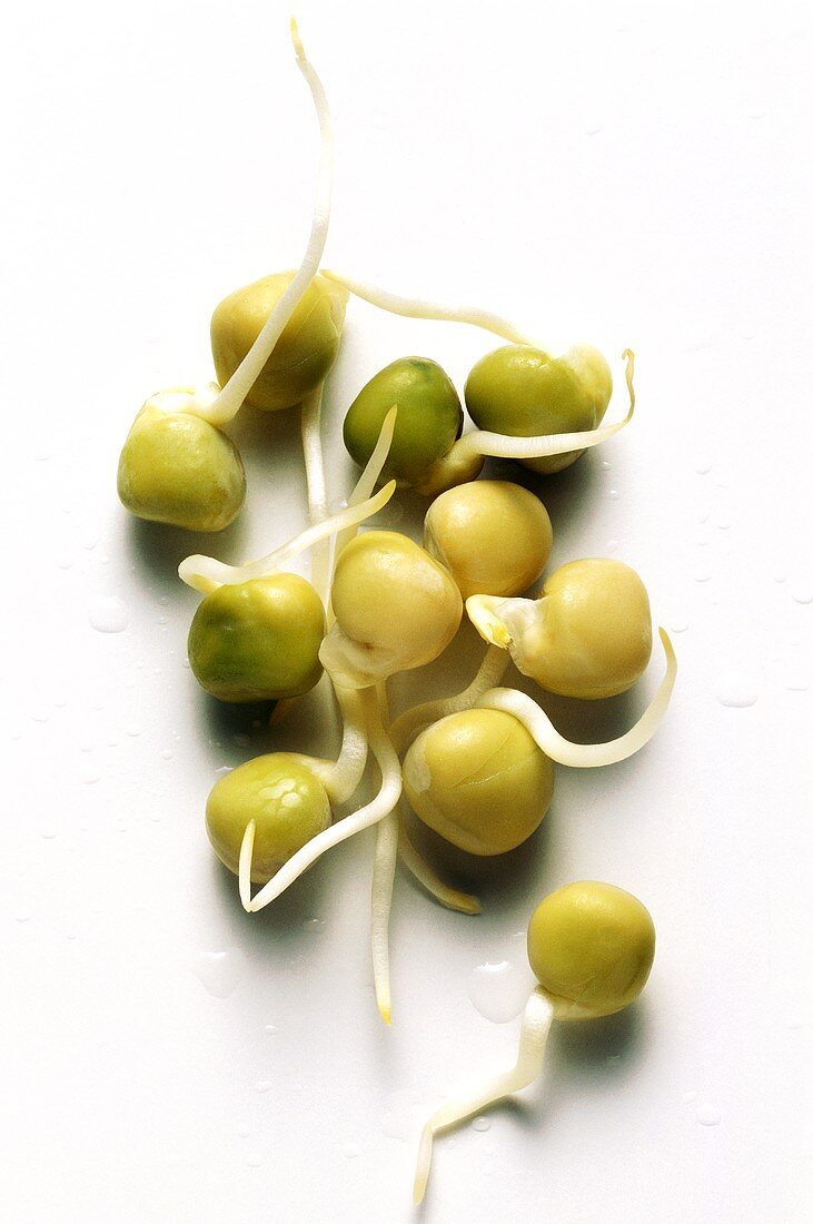 Green Pea Sprouts