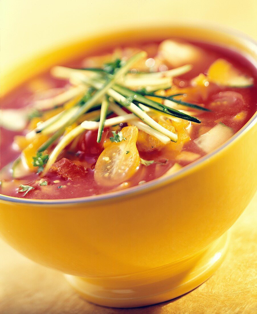 Colorful Bowl of Gazpacho