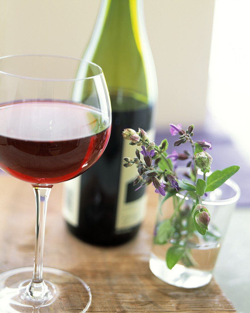 Pinot Noir in Glas und Flasche; blühender Salbei im Glas