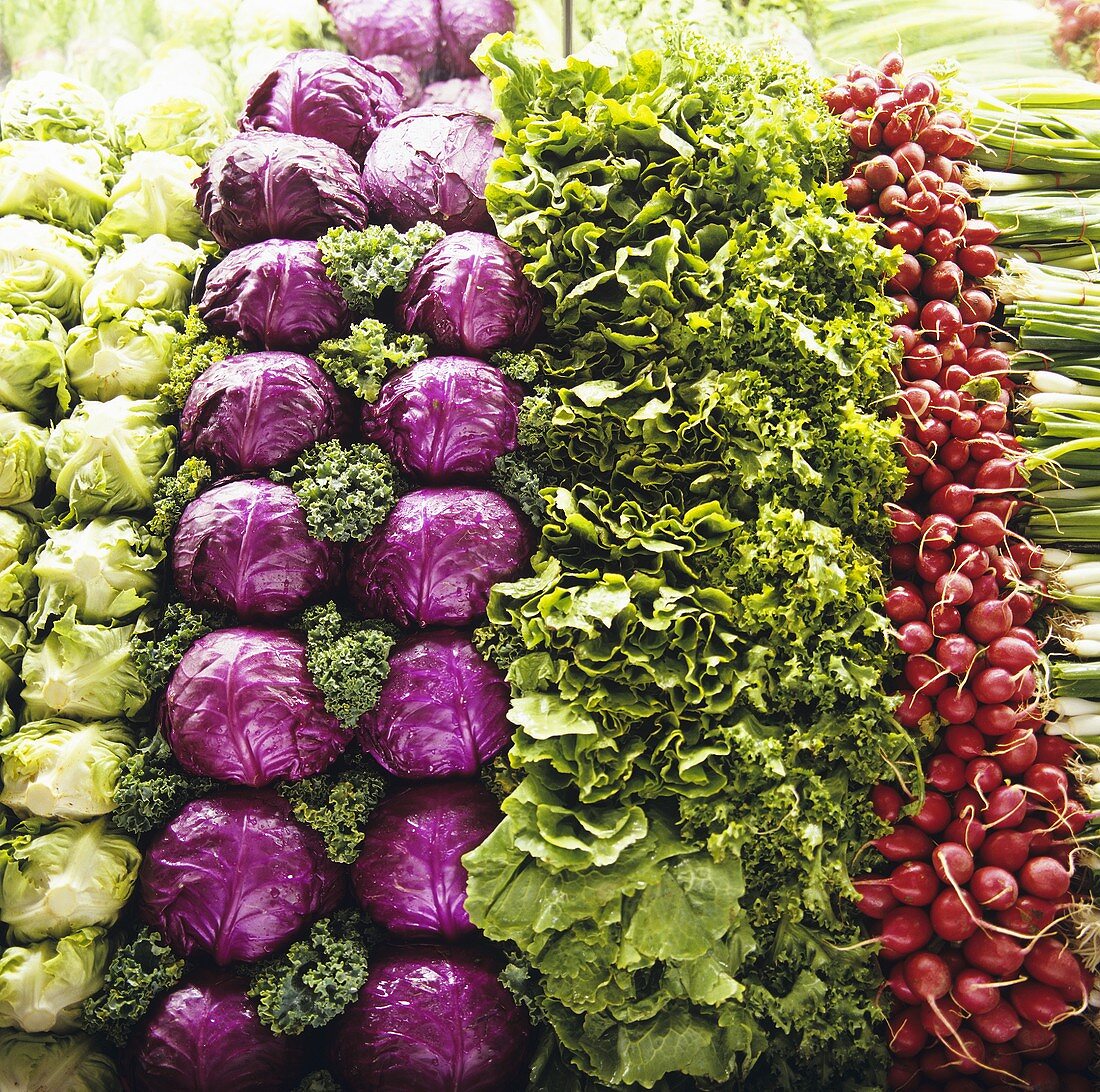 Gemüsestapel (Salat, Rotkohl, Radieschen)