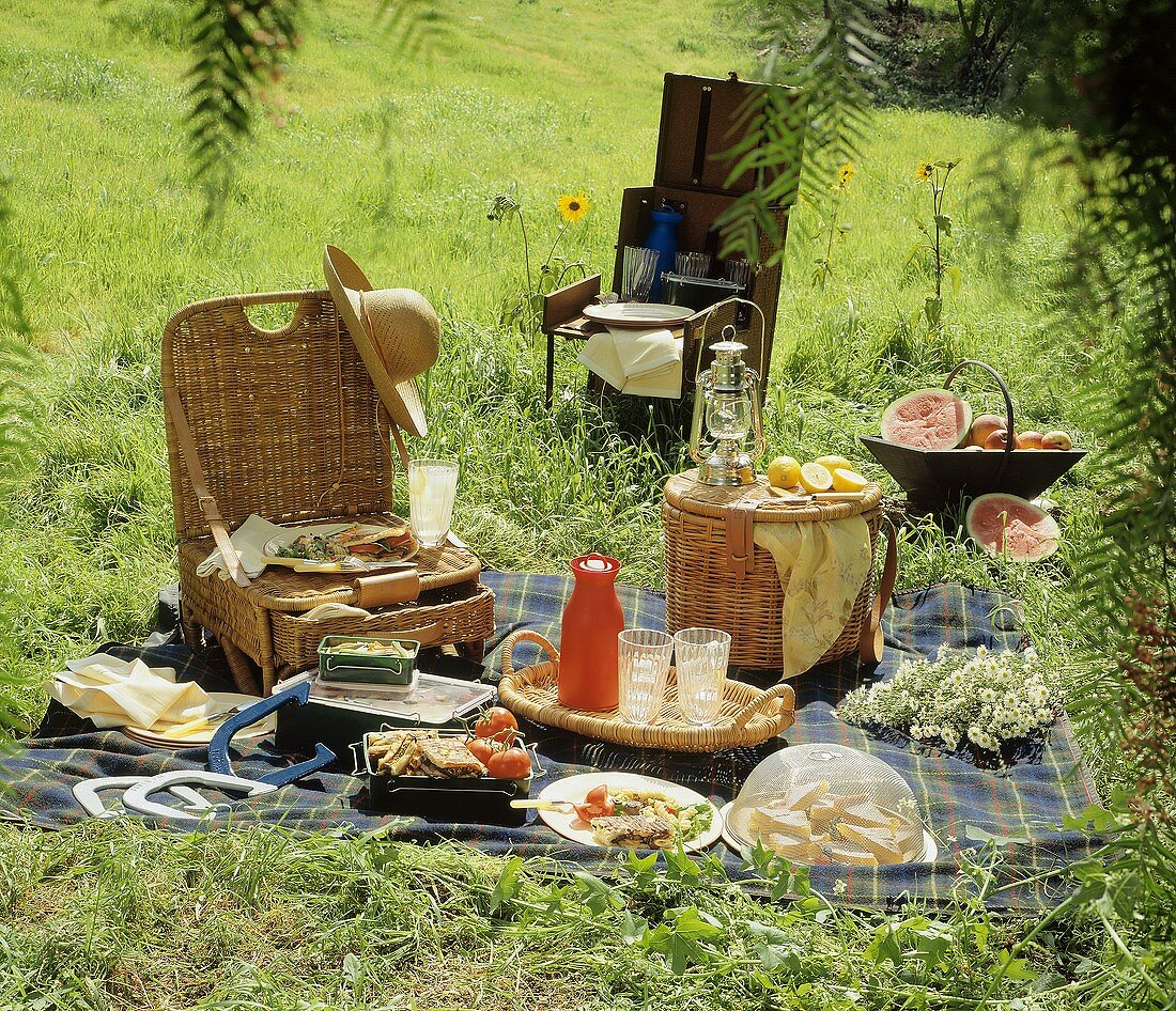Picknick auf einer Wiese