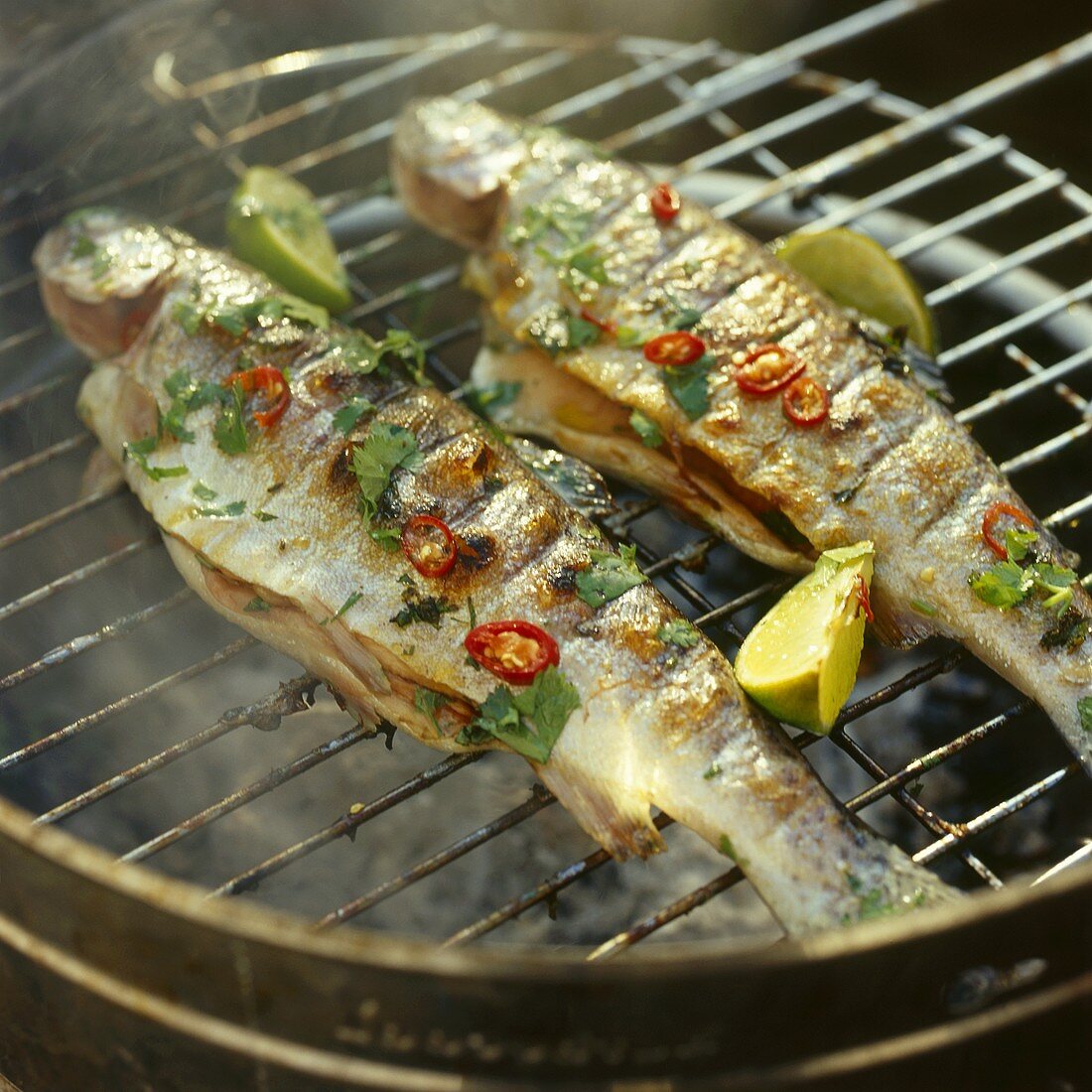 Zwei Forellen auf dem Grill mit Limetten und Chiliringen