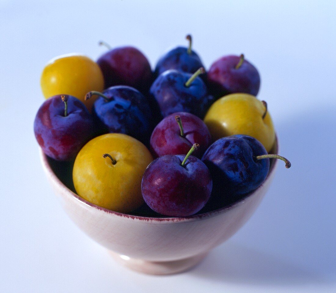 A Bowl of Assorted Plums