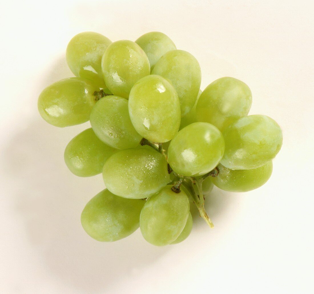 Grüne Trauben mit Wassertropfen