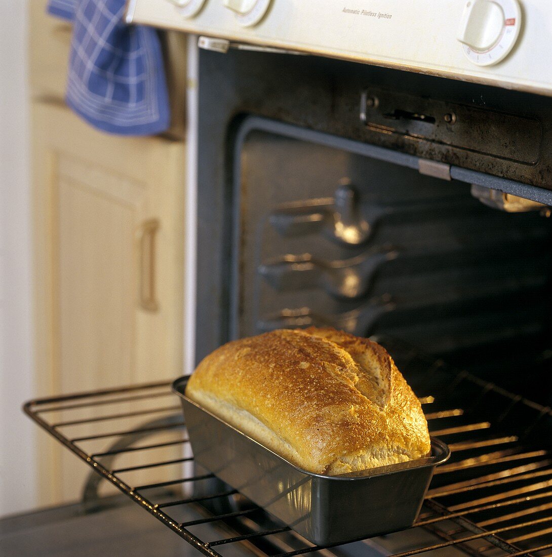 Frisch gebackenes Brot im Backofen