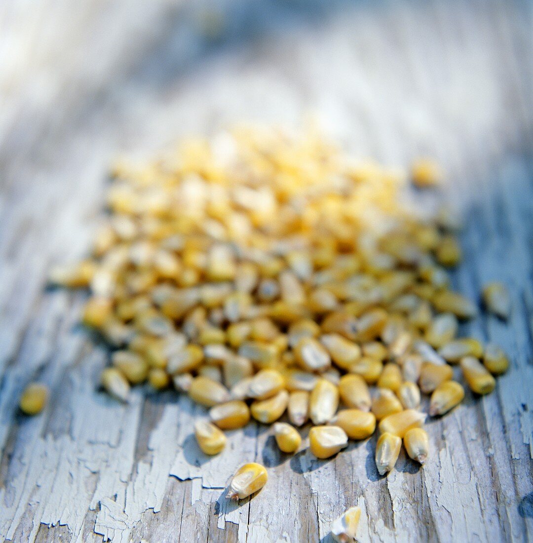 Kernels of Dried Corn
