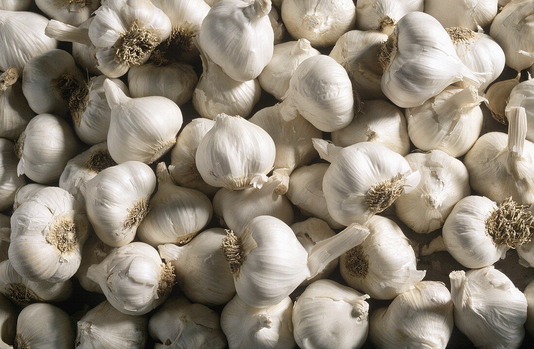 Whole Garlic; Full Frame