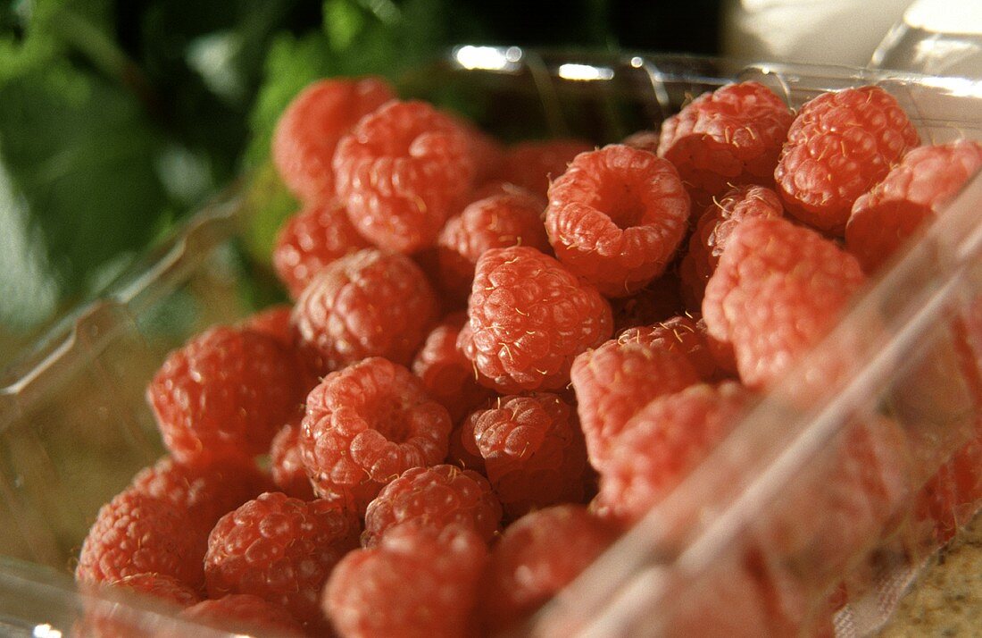 Himbeeren in Plastikschale