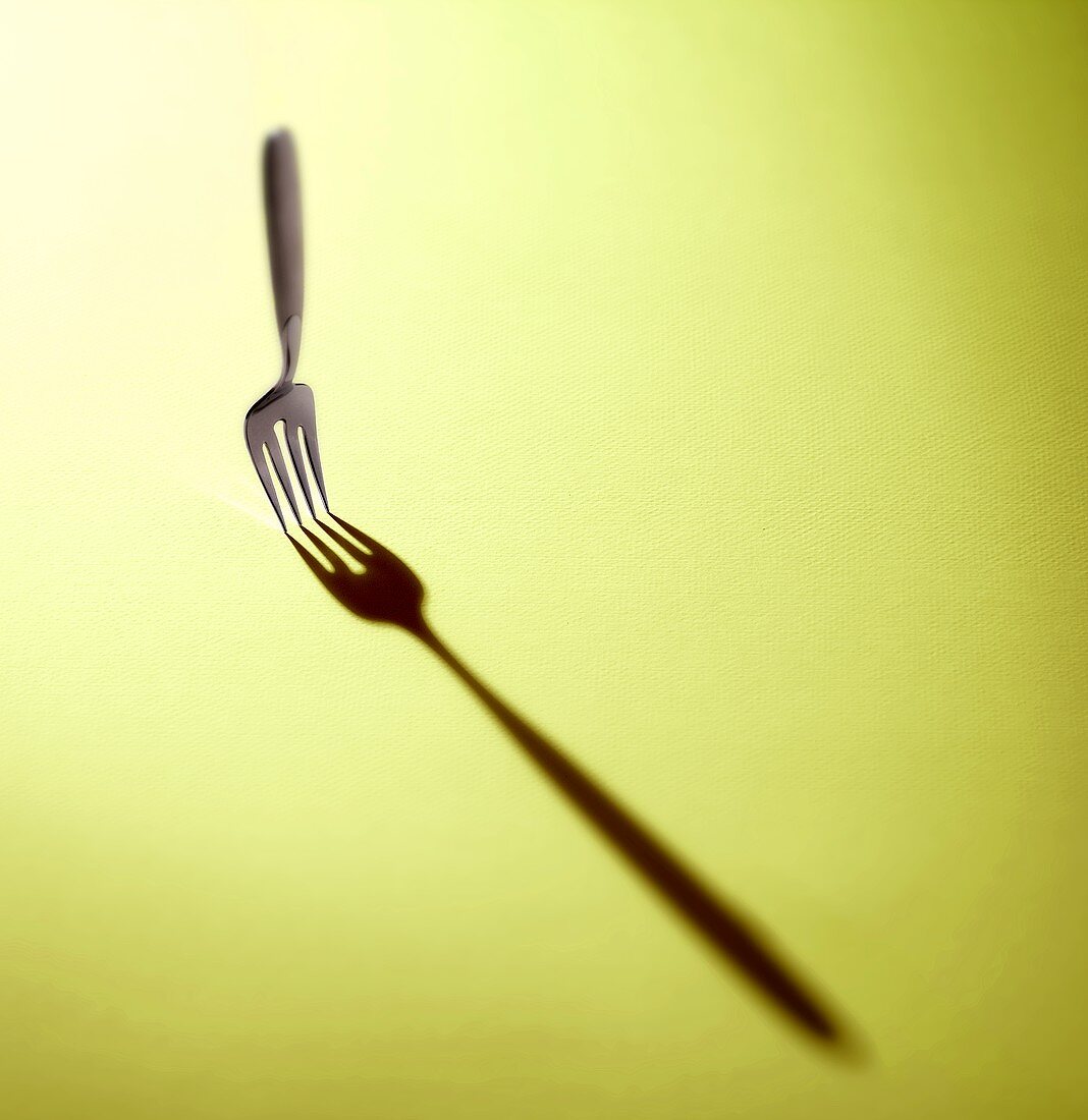 Fork with Shadow