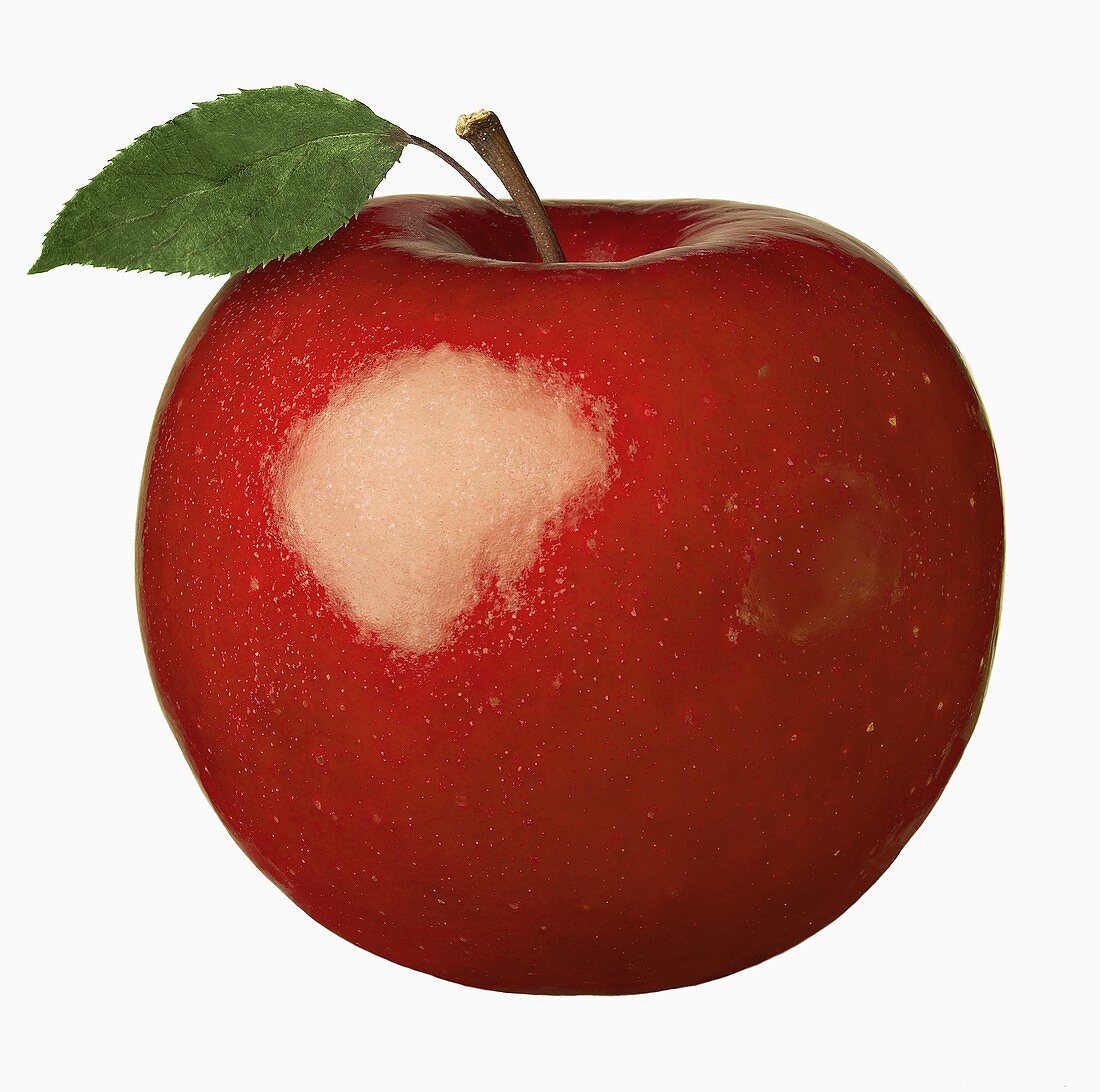 Glänzender roter Apfel mit Blatt