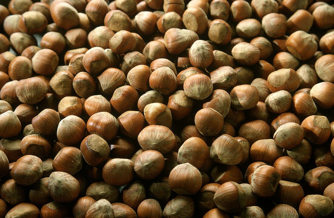 Hazelnuts; Full Frame