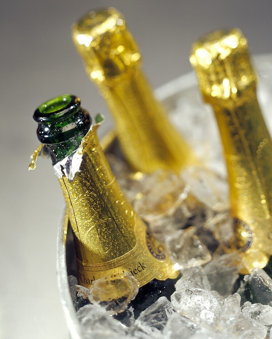 Three Champagne Bottles in Ice Bucket