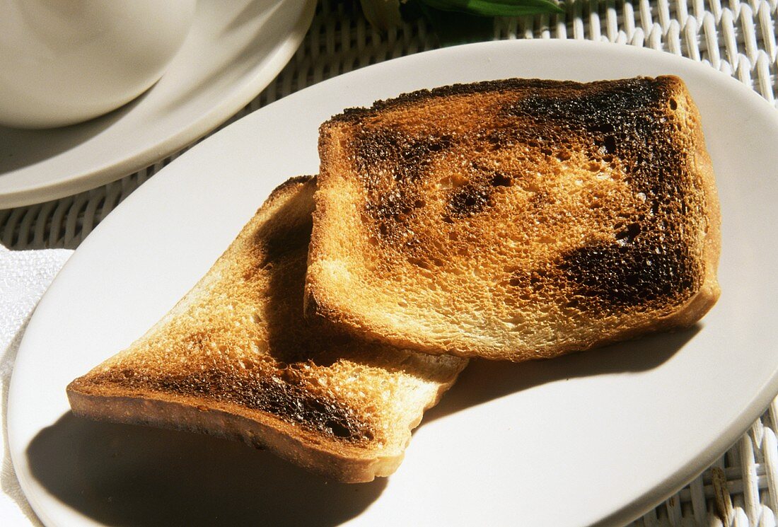 Two Slices of Burnt Toast on a White Plate