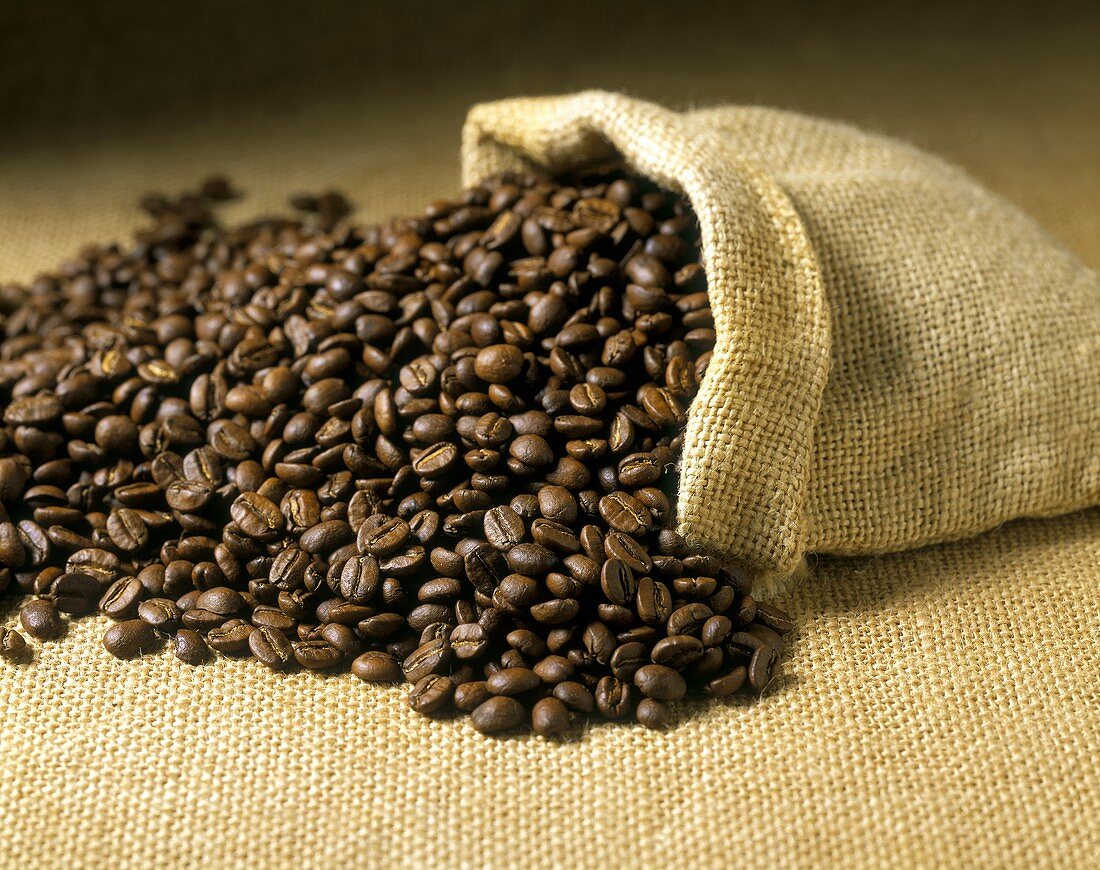 Coffee beans with jute sack