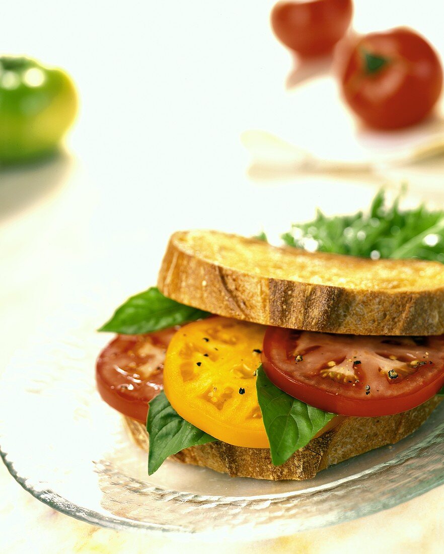 Tomato and Basil Sandwich on Toasted Bread