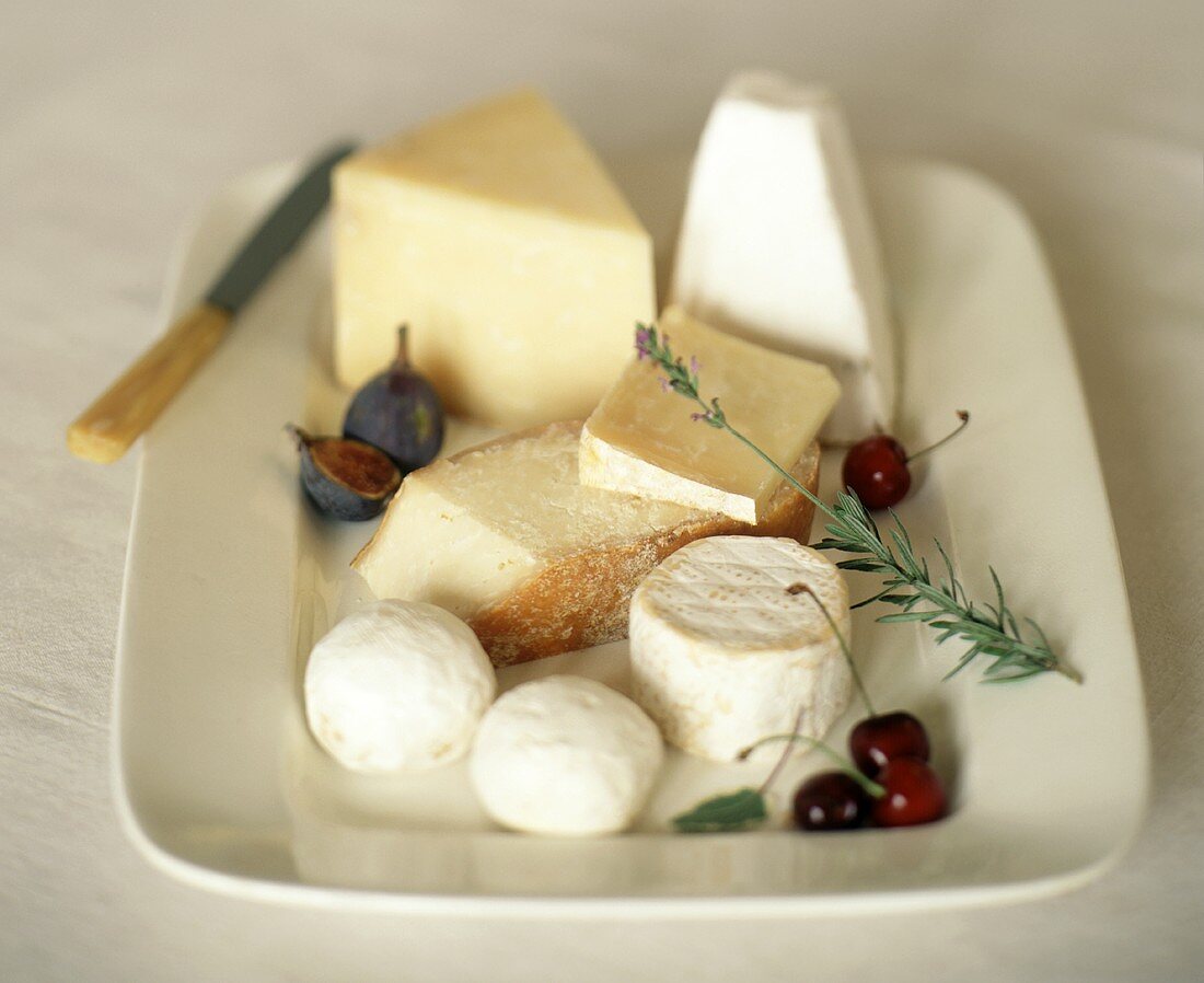 Verschiedene Sorten Käse auf einer Keramikplatte