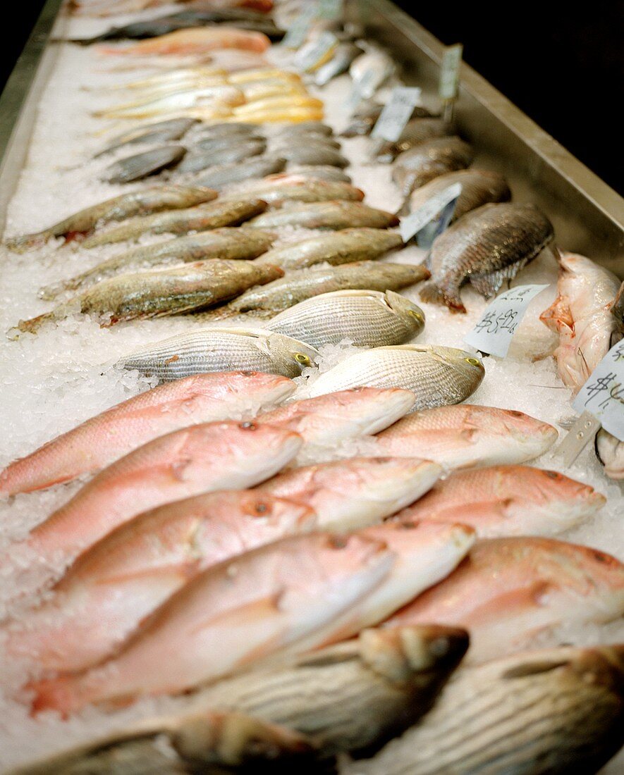 Frische Fische auf dem Markt