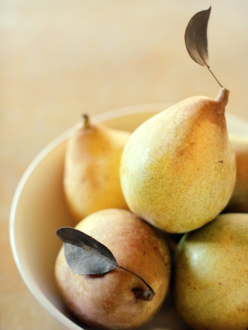 Yellow Pears with Leaves in a White Bowl