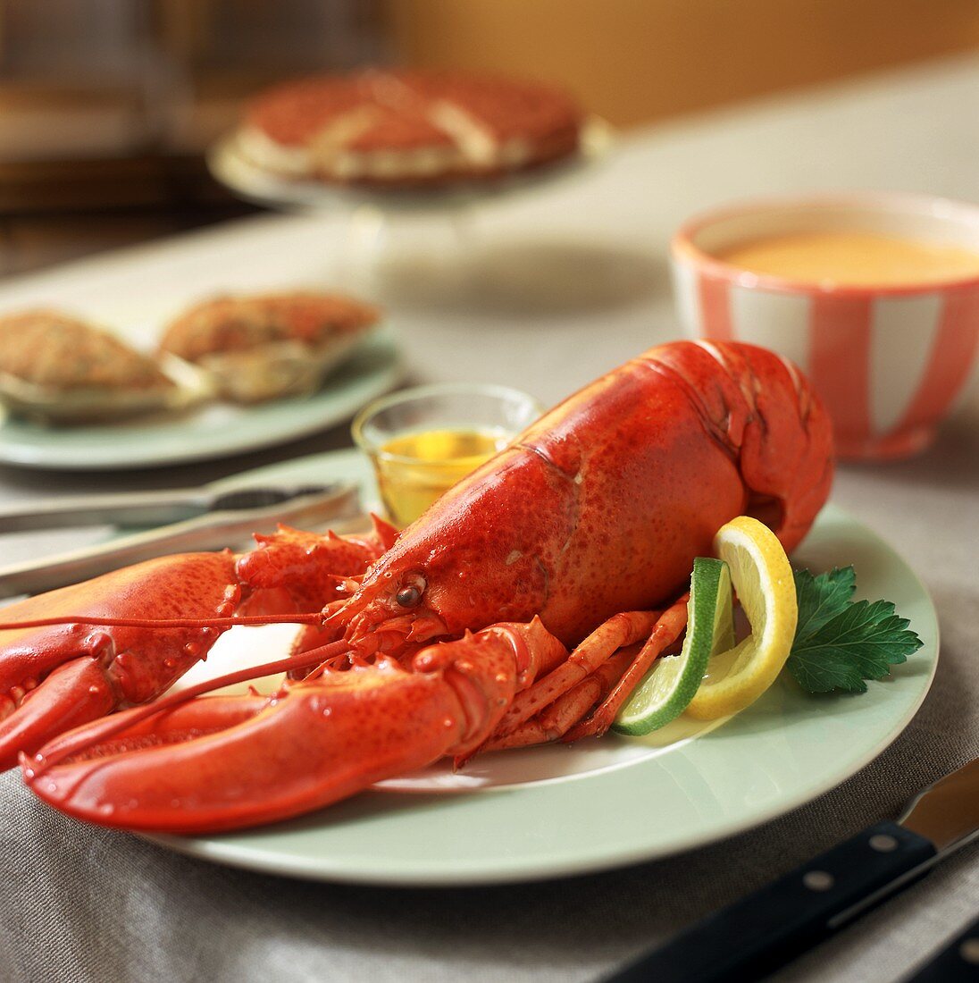 Cooked lobster with melted butter and lemon