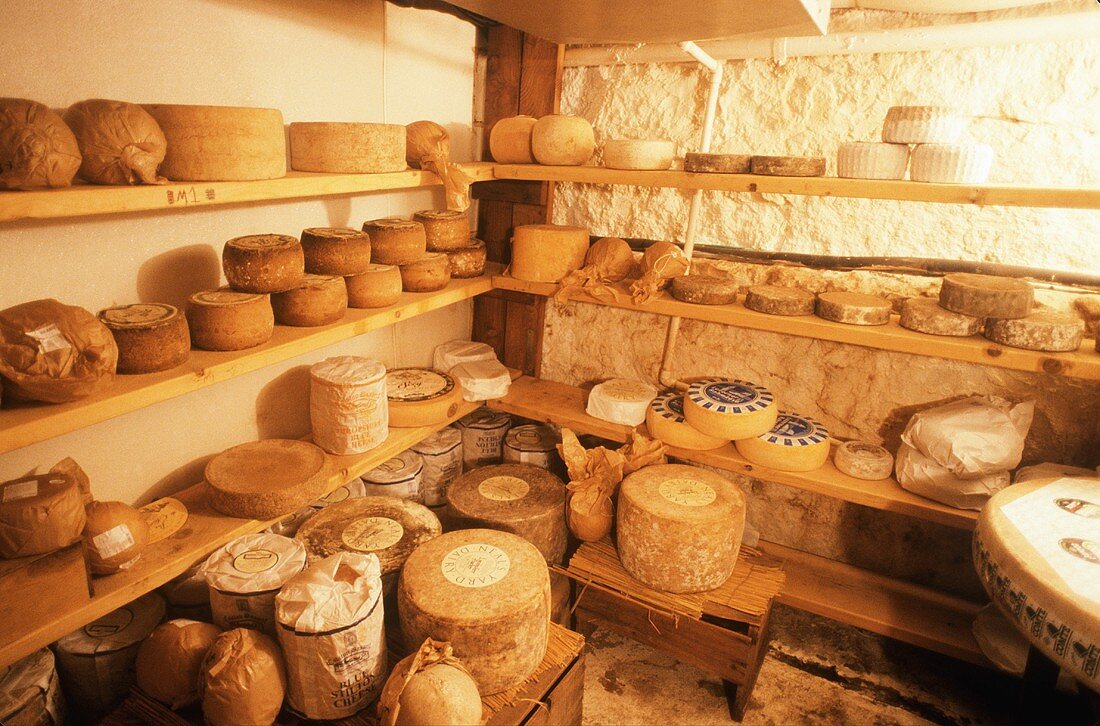 A Room Full of Assorted Cheeses