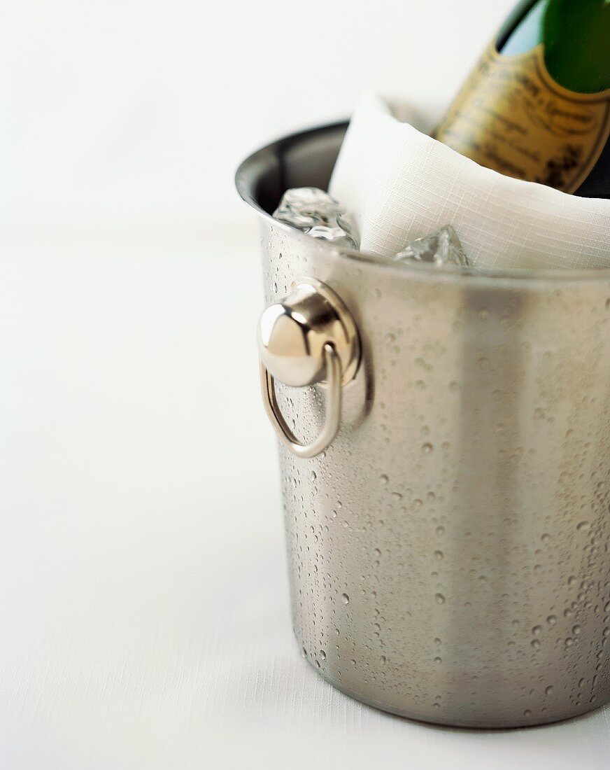 Champagne Chilling in Bucket with Ice
