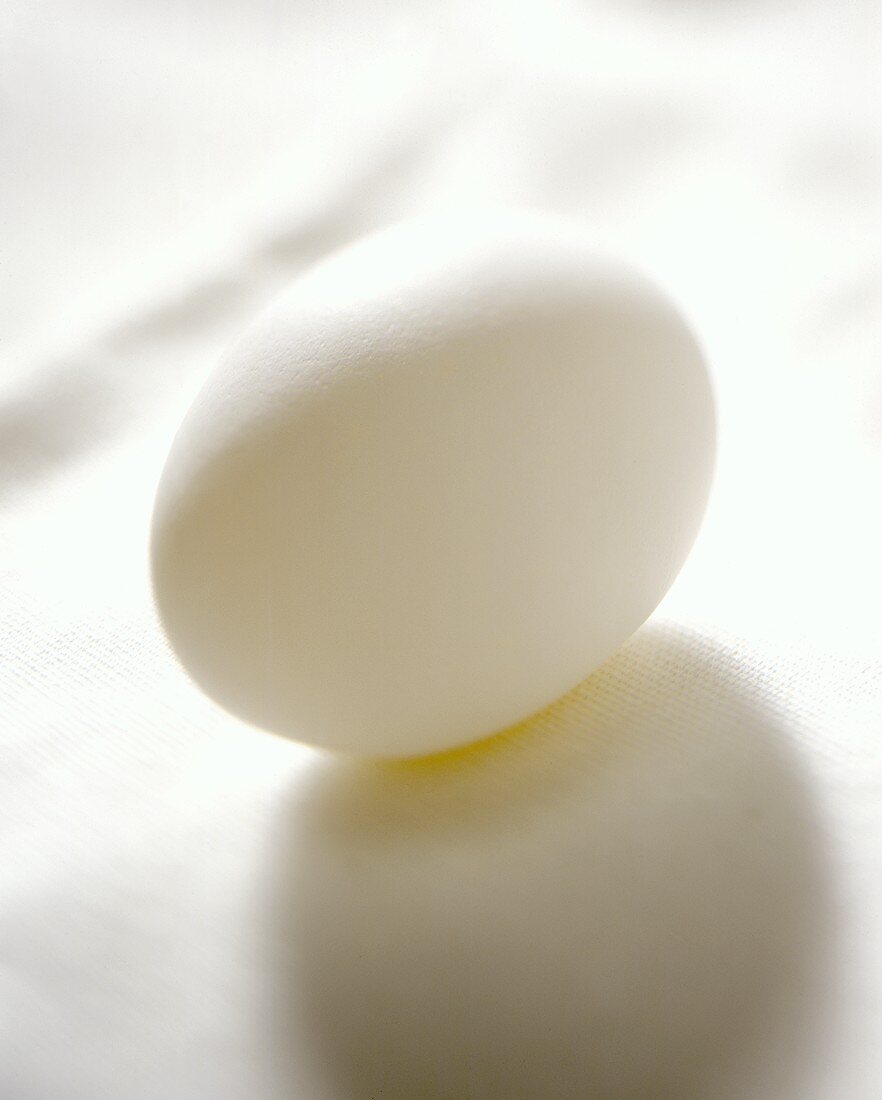 A white hen’s egg on white fabric background