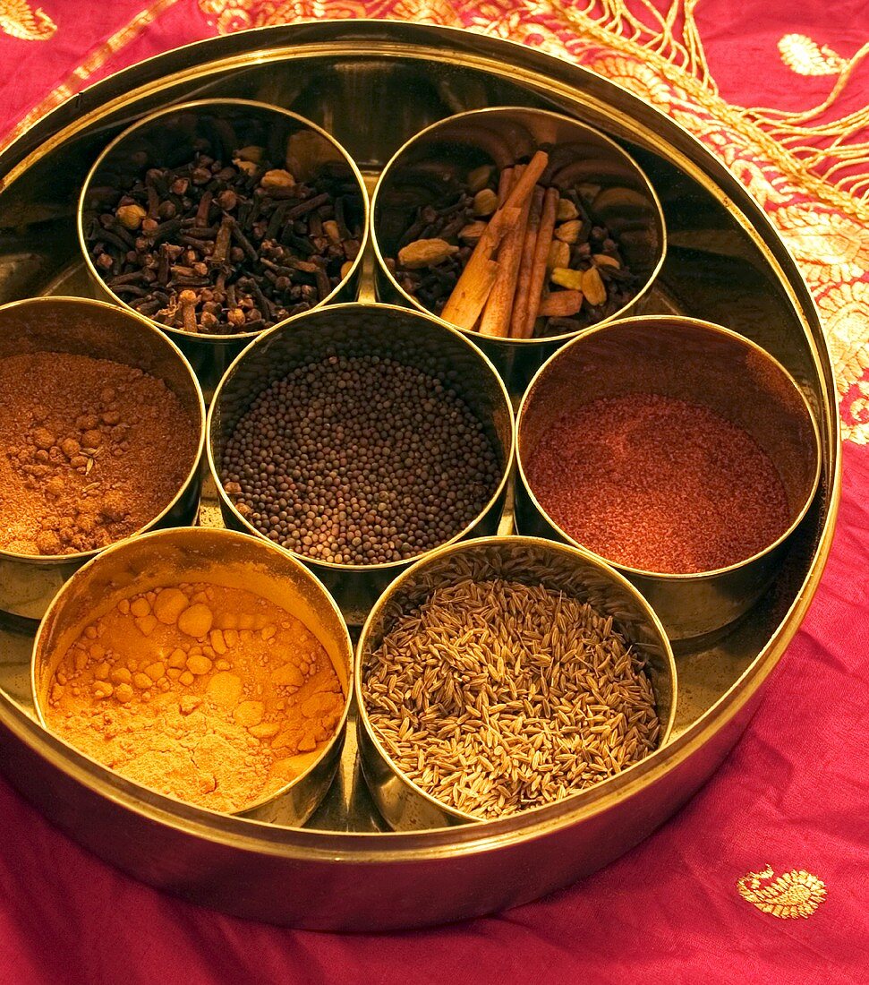 Various Indian spices in thali bowls (katoris)