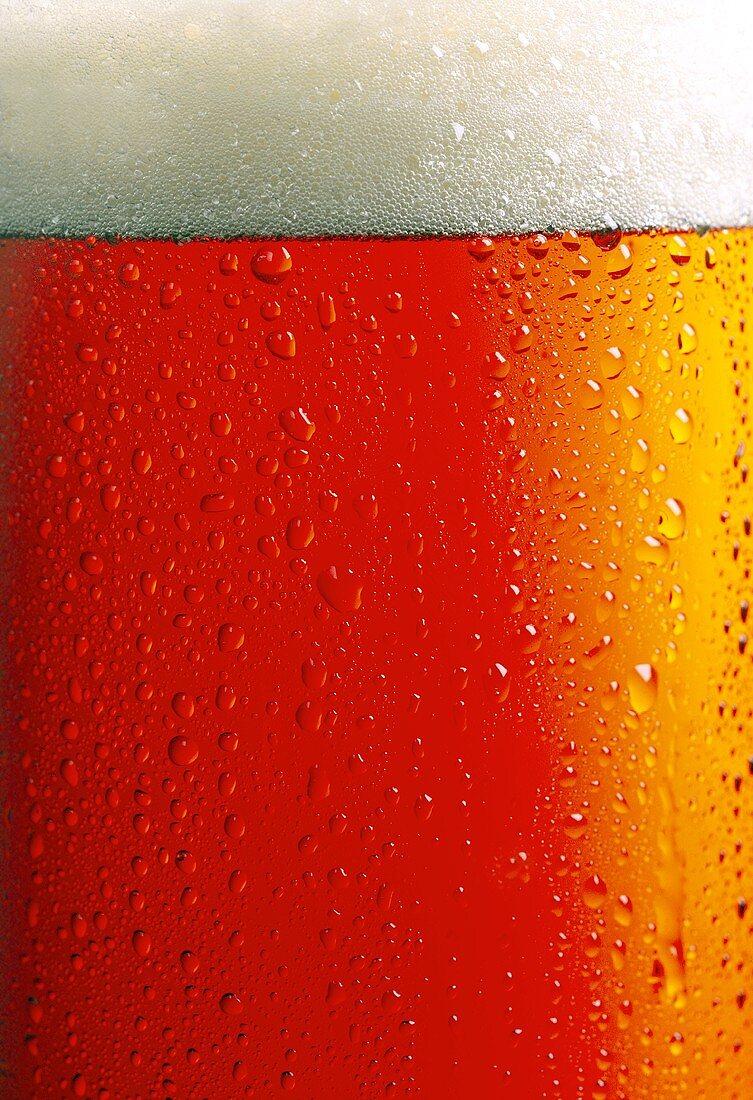 Ale in glass (detail)