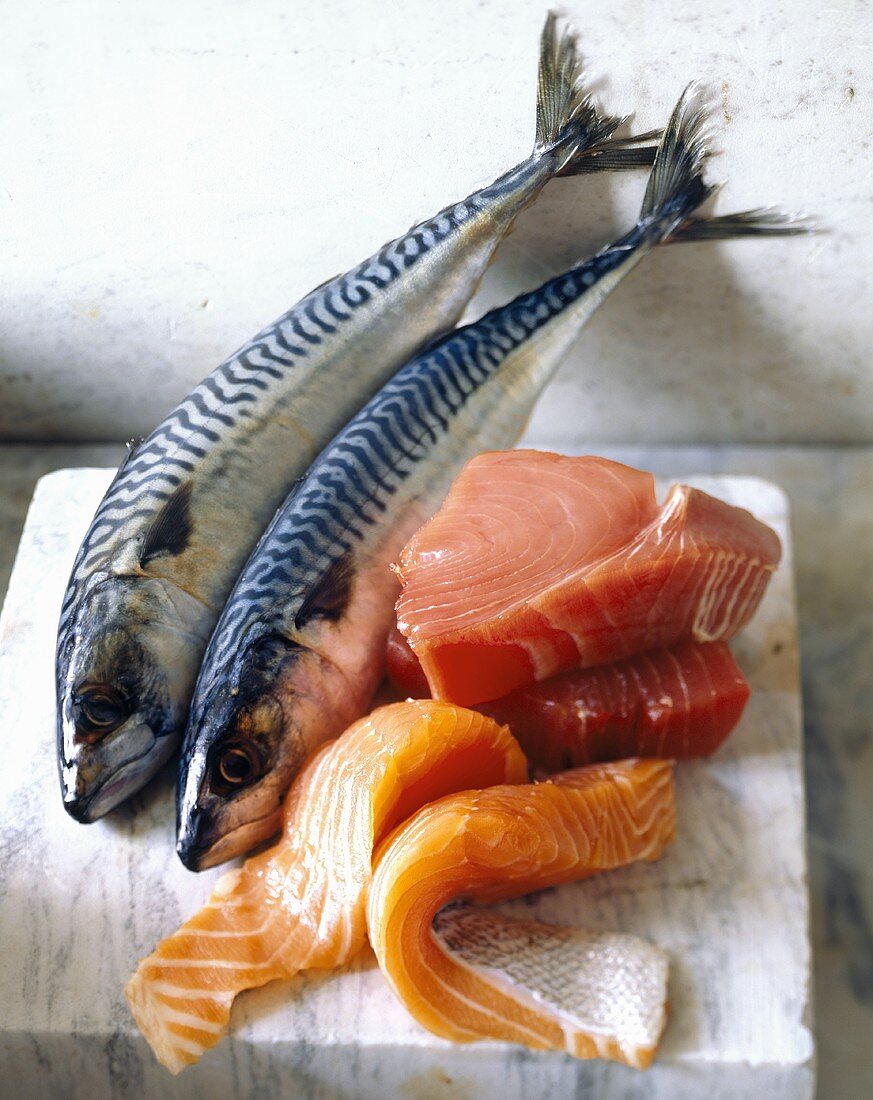 Frische Makrelen, Thunfisch und Lachs