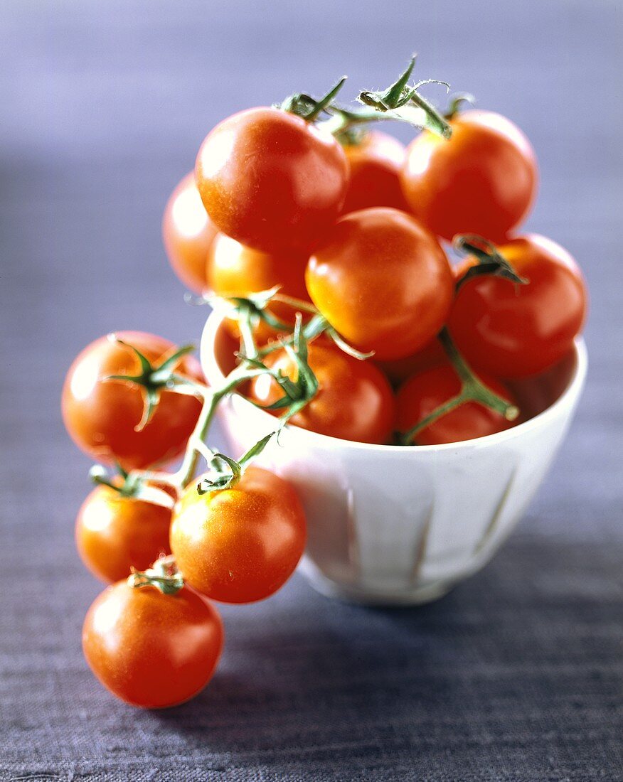 Cherry tomatoes on the vine in a small white dish