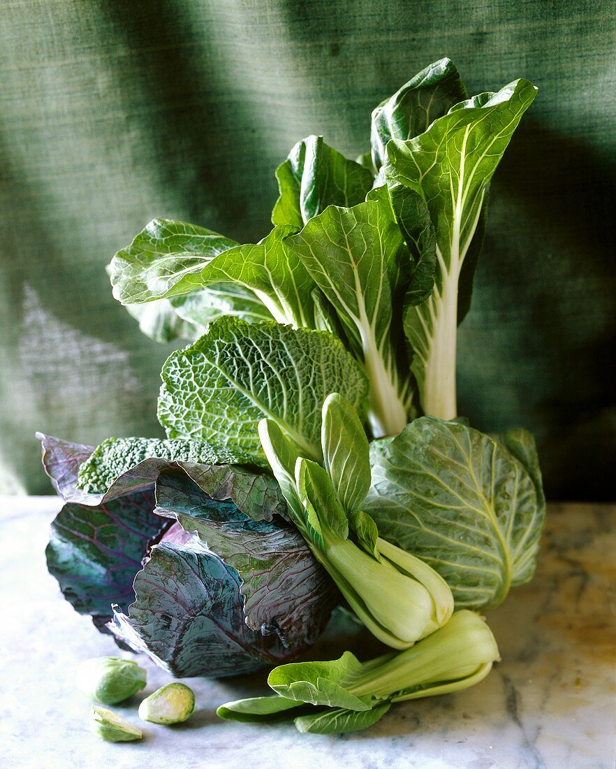 Still life with various sorts of cabbage