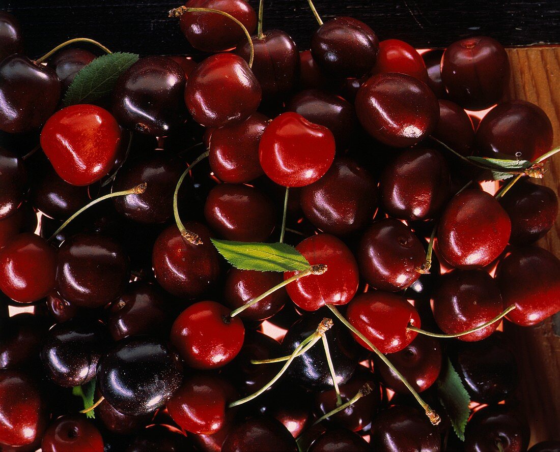 Fresh Red Cherries in a Pile
