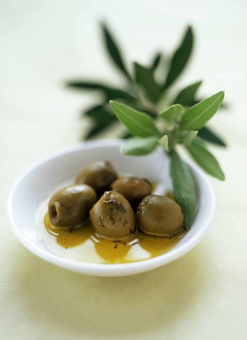 Grüne Oliven mit Olivenöl im Schälchen; Olivenzweig