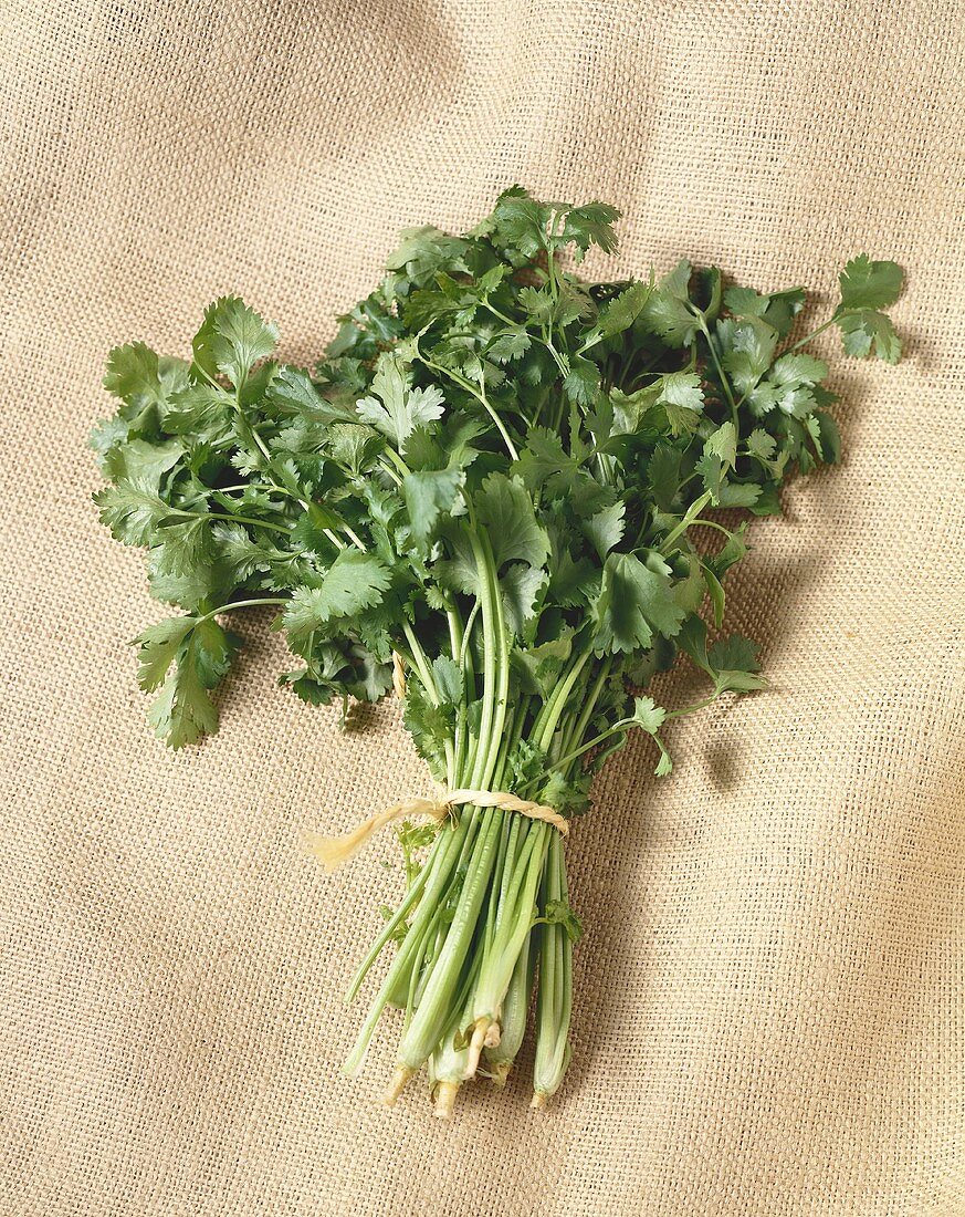 A bunch of coriander 