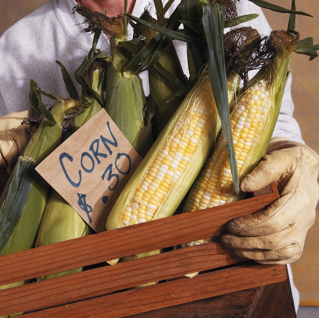 Corn cobs in a wooden crate with a price label