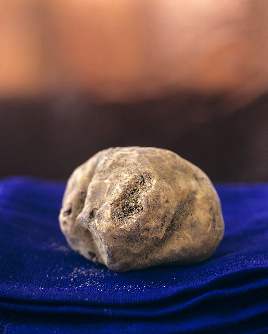 White truffle on blue napkin