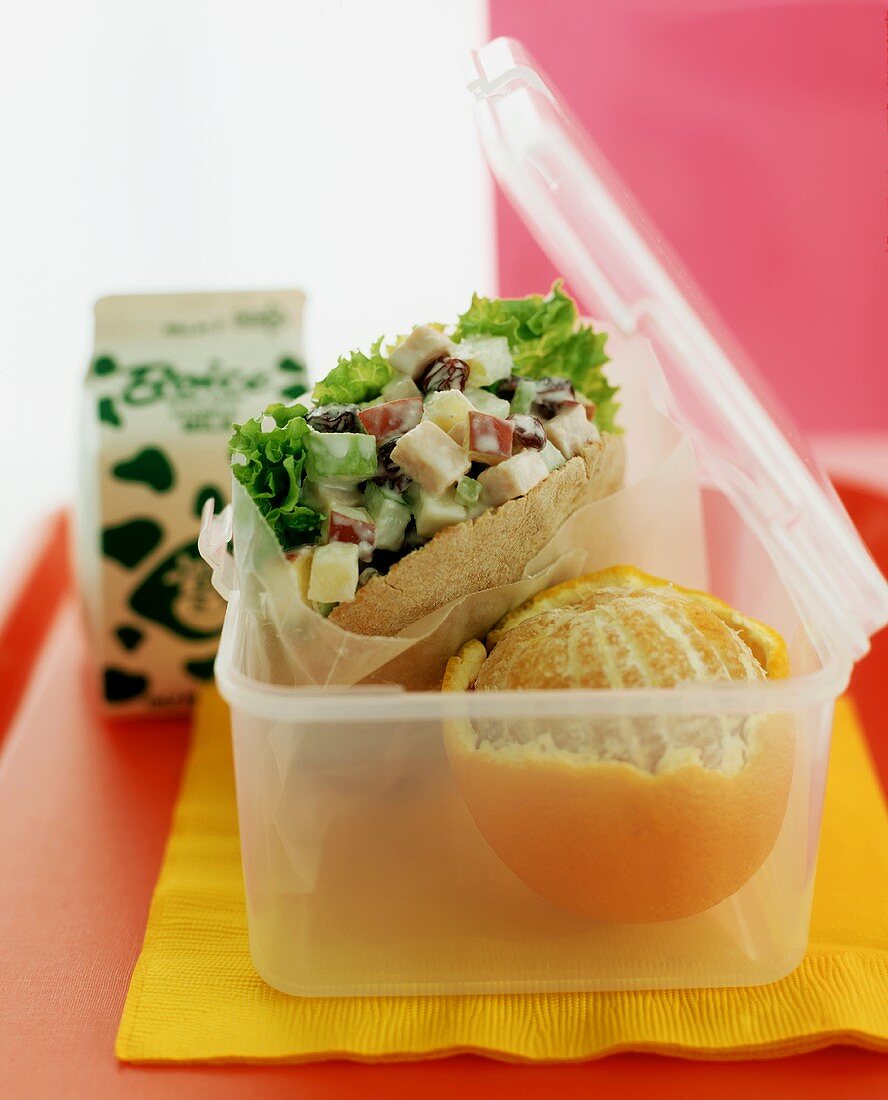 Lunch für Kinder: Pitabrot mit Hähnchensalat, Orange, Milch