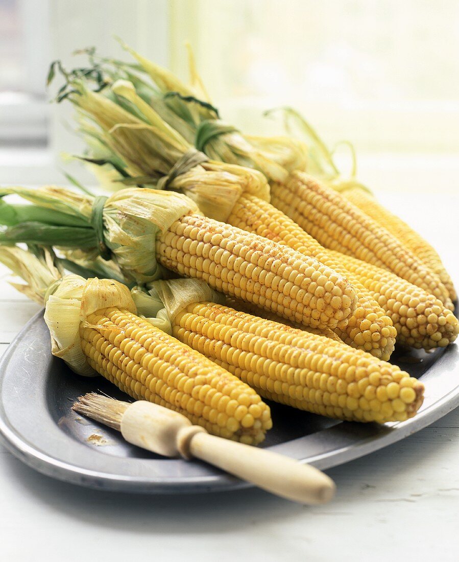 Corn on the Cob with Husks Pulled Back