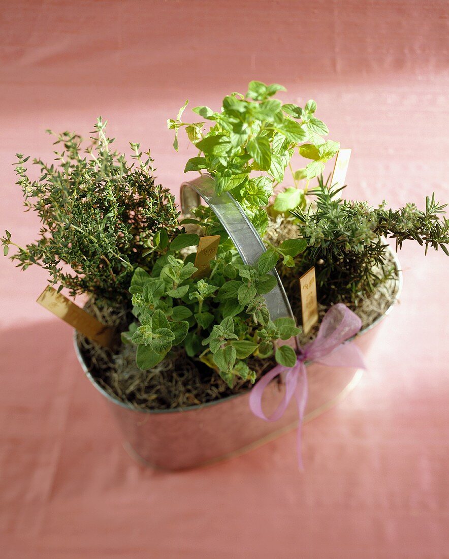 Various herbs in metal basket