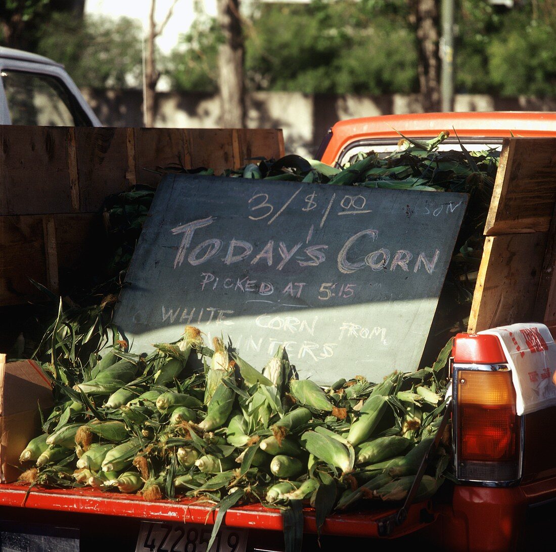 Fresh Picked Corn in the Back of a Truck at a Farmer's Market in San Francisco