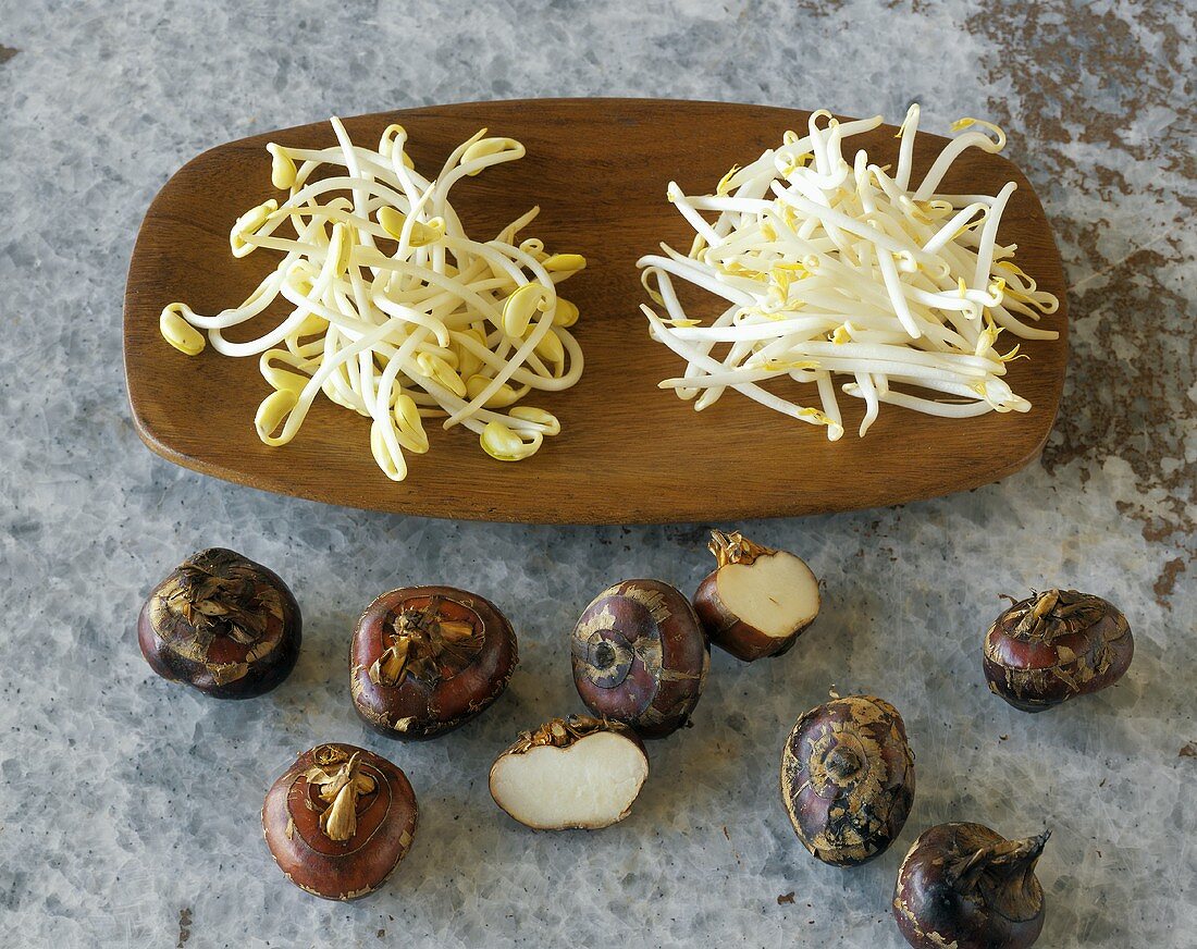 Soya bean sprouts, mung bean sprouts and water chestnuts
