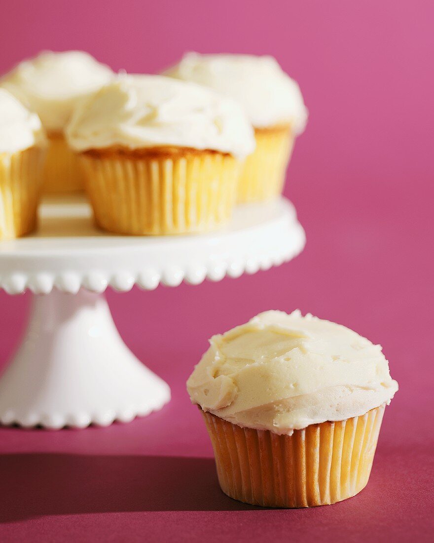Cupcakes with Vanilla Frosting