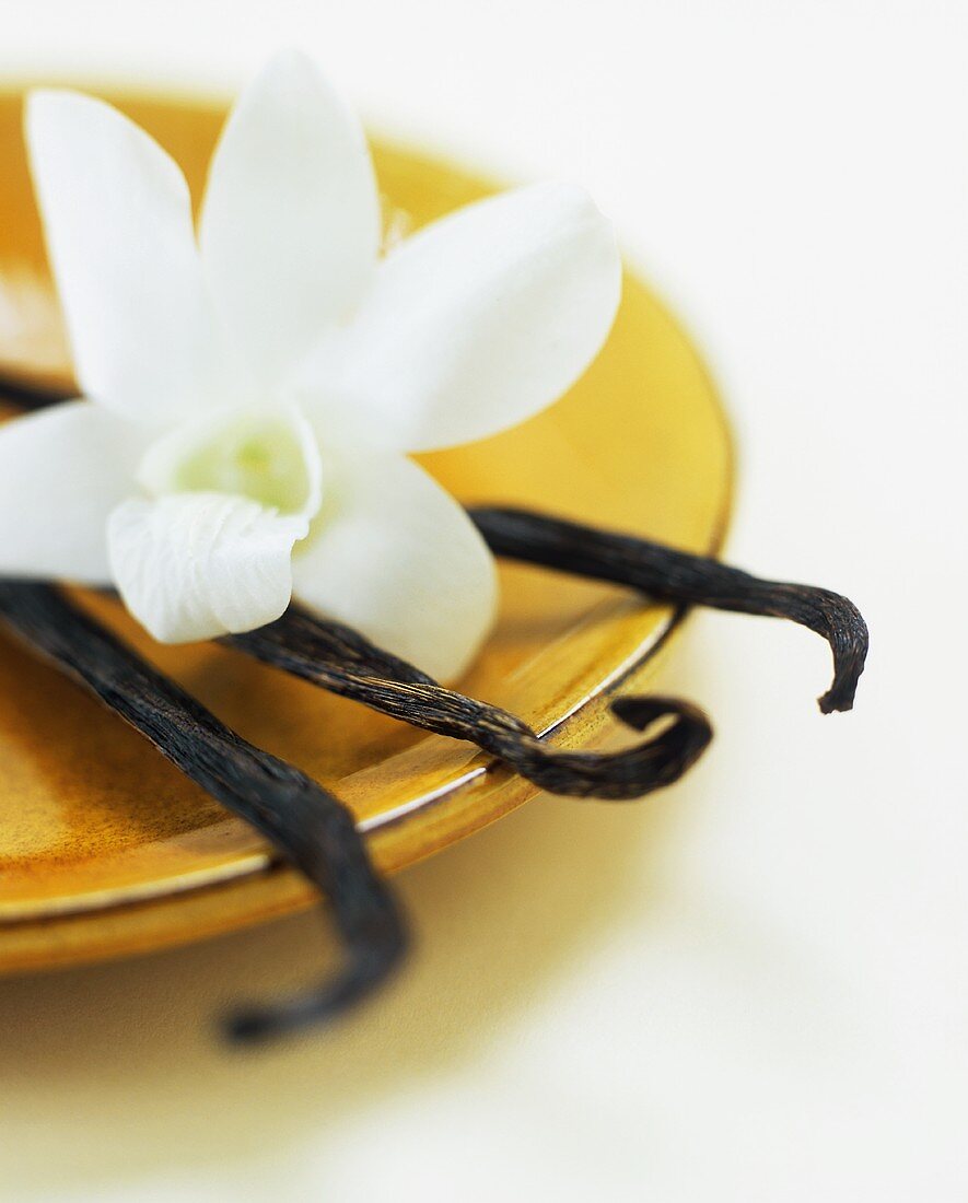 Vanilla Beans with White Orchid on a Gold Plate