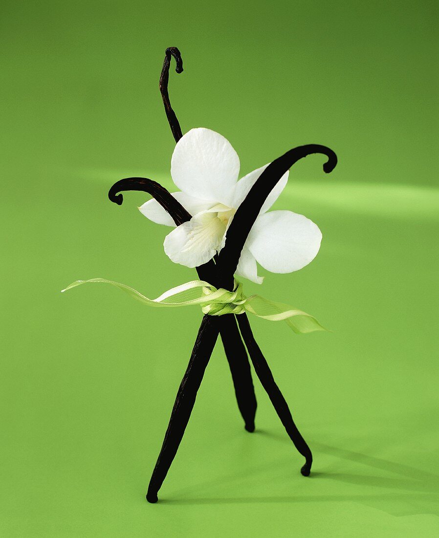 Vanilleschoten und weiße Orchidee