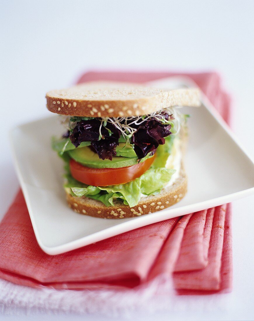 Avocado, lettuce and sprouts in a sandwich