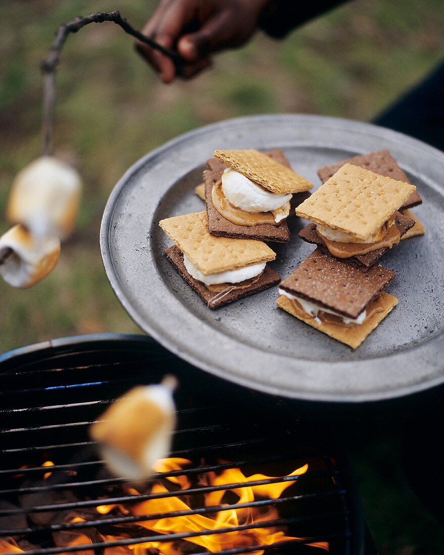 Marshmallows and s'mores on barbecue in open air (USA) 