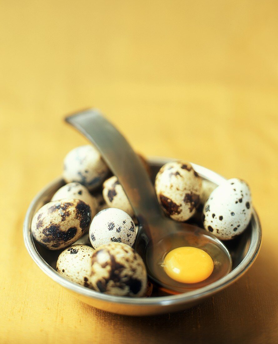 Quail Eggs in a Bowl with a Yolk on a Ladle
