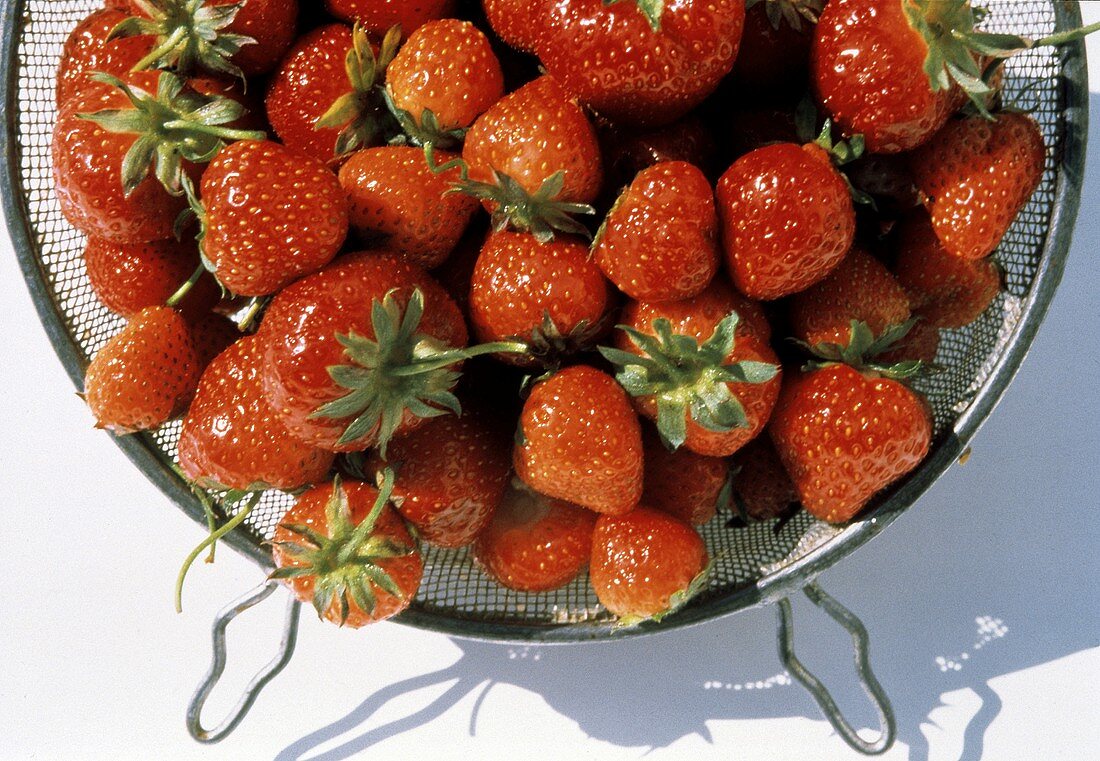Frische Erdbeeren in einem Metallsieb