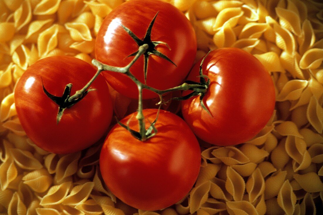 Tomatoes on Pasta Shells