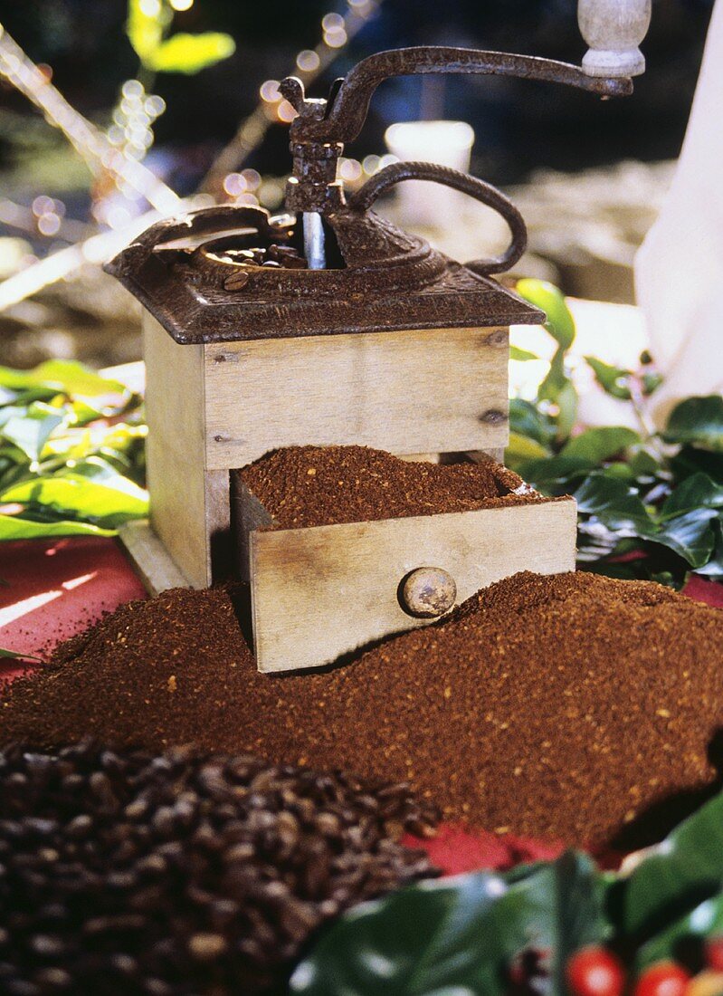 Coffee Bean Grinder with Ground Coffee Beans and Whole Coffee Beans